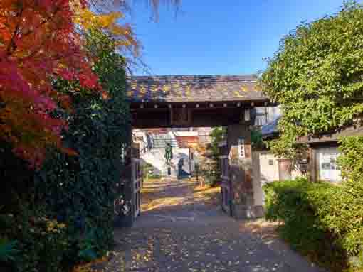 令和5年秋鬼越山神明寺の紅葉3