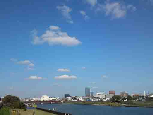 晴天の新中川の川辺