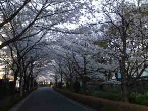 Shinodabori Shinsui Ryokudo Park