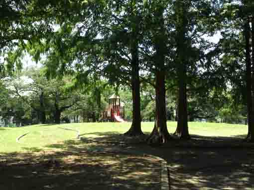 Shinozaki Koen in summer