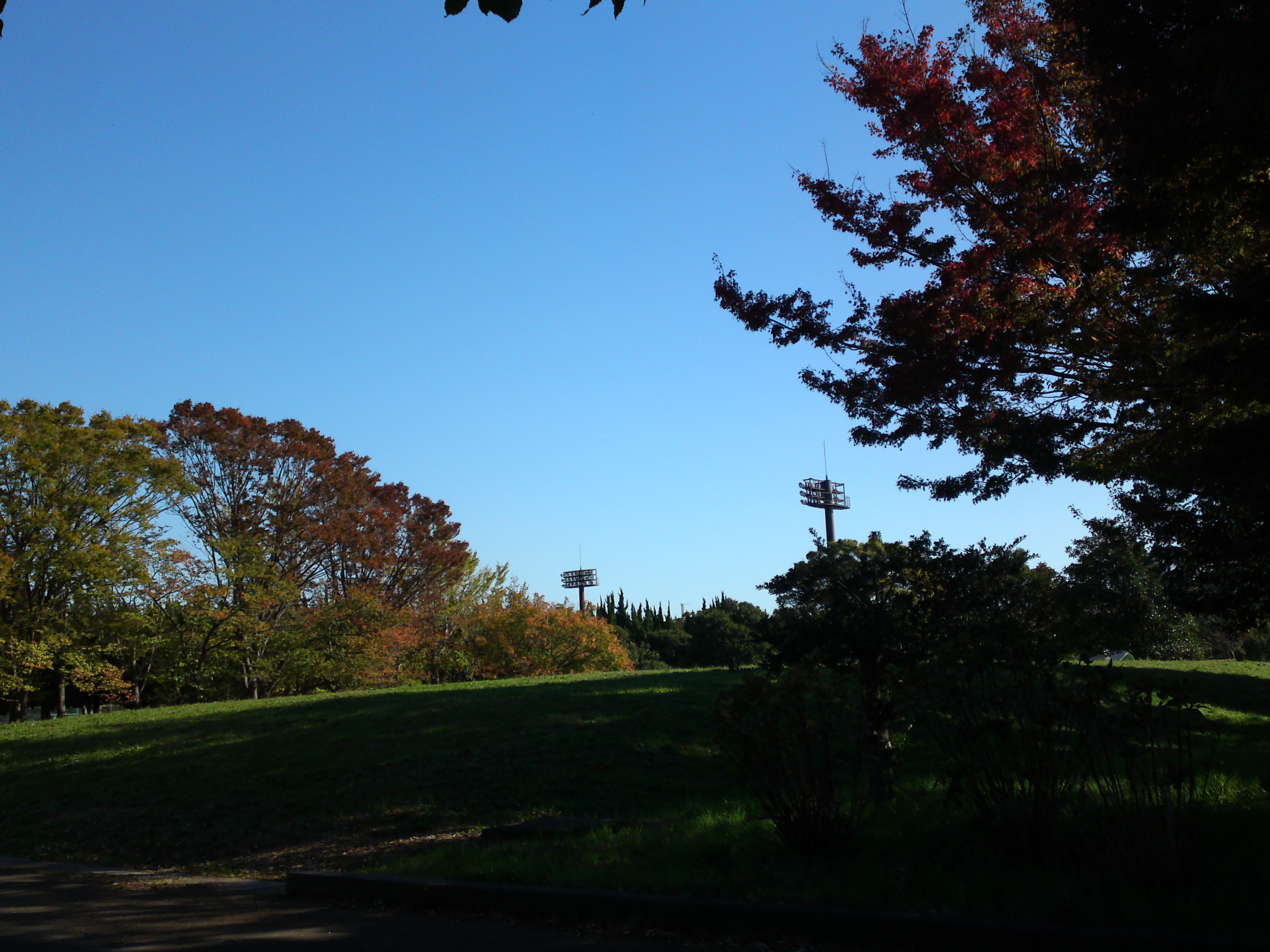 2019NH̍gtQU