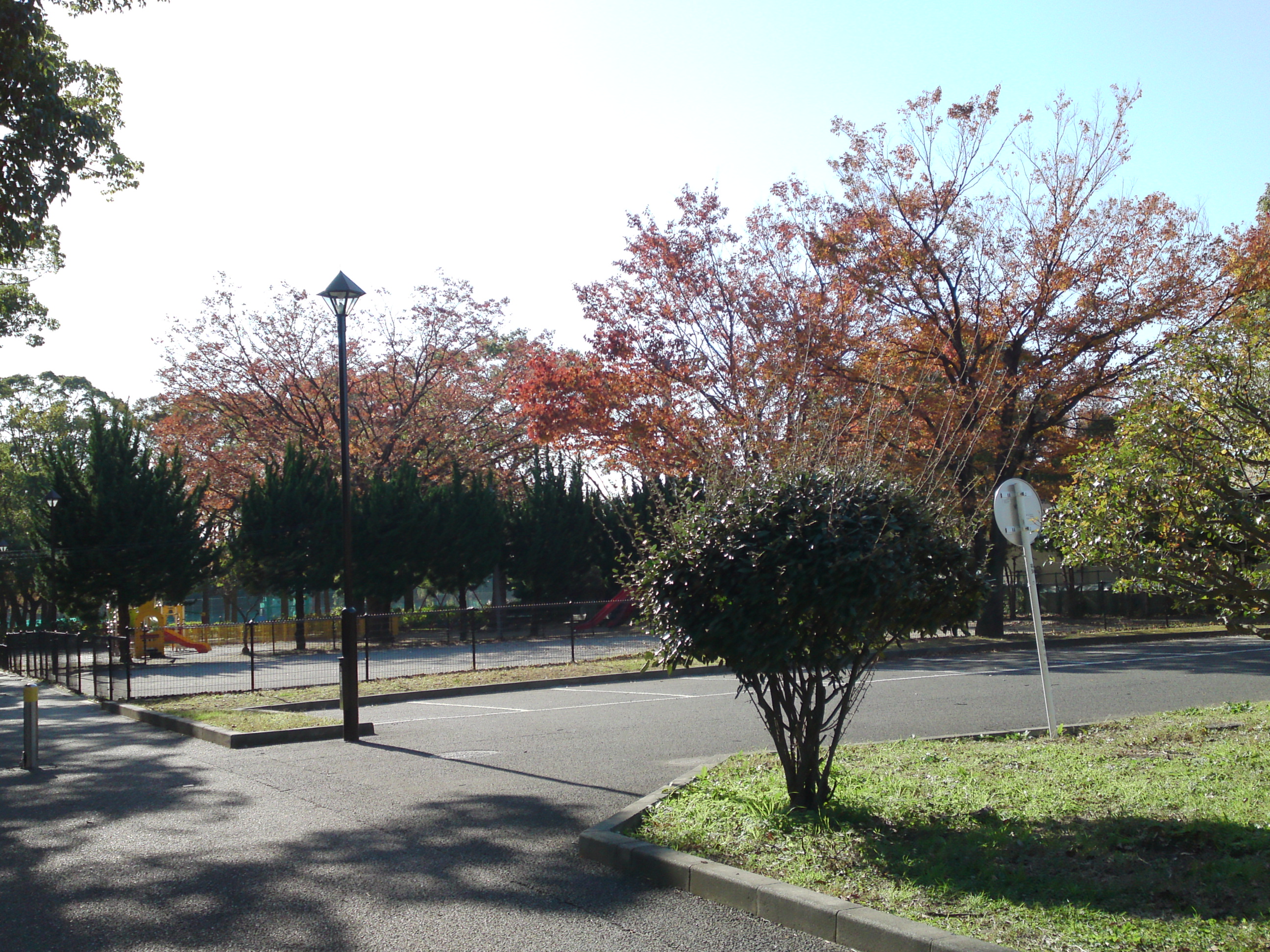 2019年篠崎公園の秋を彩る紅葉５
