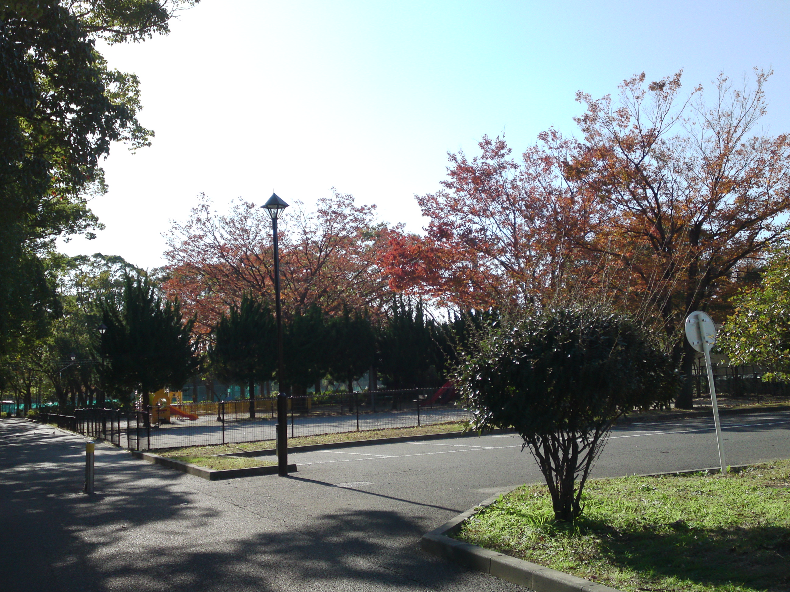 2019年篠崎公園の秋を彩る紅葉６