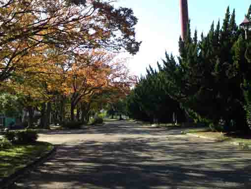 fall in A zone in Shinozaki Park 2