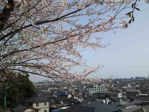 白幡神社参道からの眺望