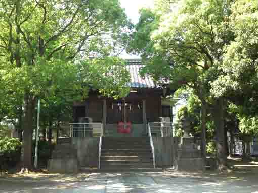 the main hall of Shirahige Jinja