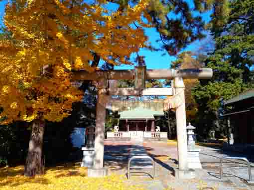 令和３年秋鹿骨鹿島神社の紅葉１