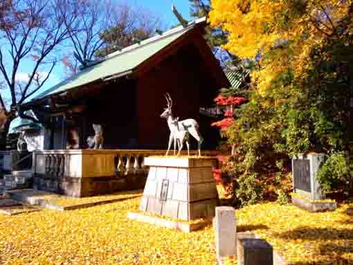 令和３年秋鹿骨鹿島神社の紅葉４