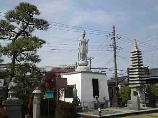 正国山妙応本堂と桜