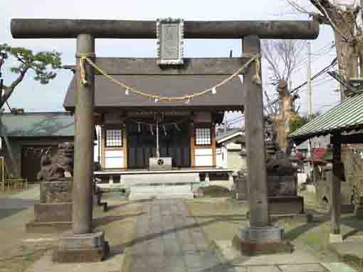 the torii gate of Shinmei Toyouke Jinja