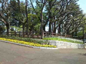 春色の須和田公園エントランス