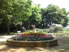 rose garden in Suwada Park