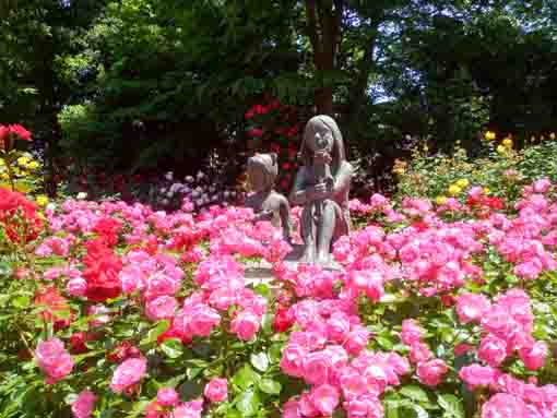 令和３年須和田公園に咲くバラの花①