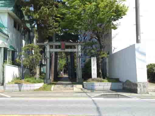 the grand torri gate of Suwa Jinja