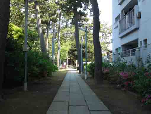 the approach road of Suwa Jinja in Hirata