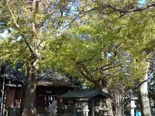 秋の高石神神社