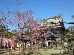 Tekona Reishindo Shrine