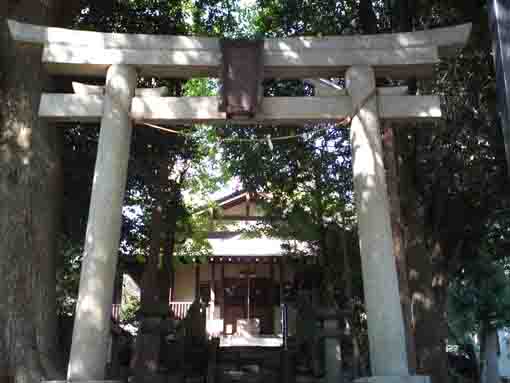 the torii gate of Tenma Tenmangu