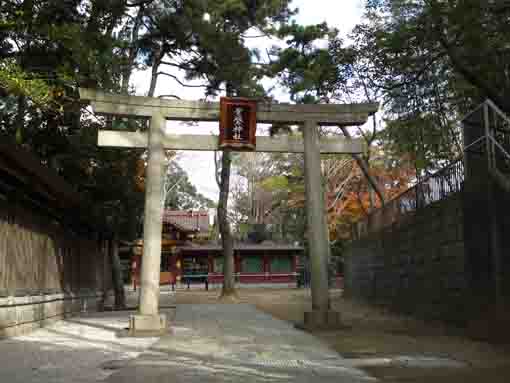 the torii gate of Tokiwa Jinja