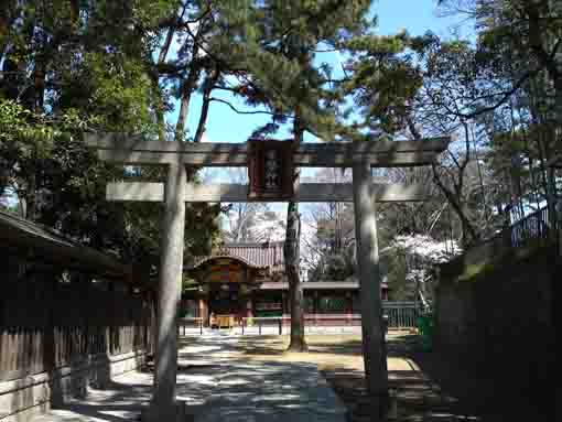 Tokiwa Jinja in Funabashi Daijingu