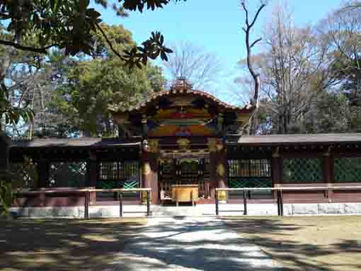 Tokiwa Jinja in spring