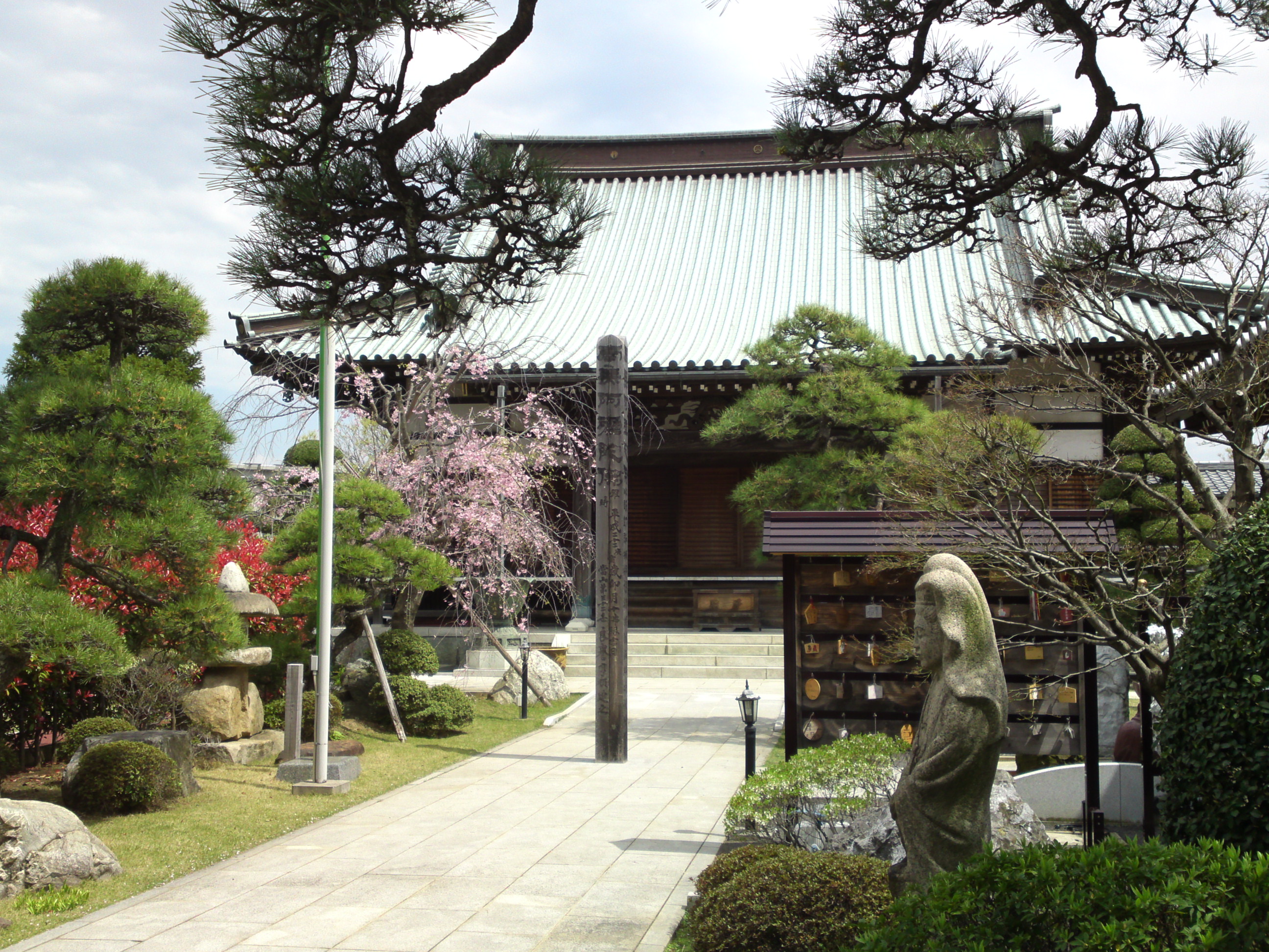 2016年春徳願寺に咲く桜の花々２４