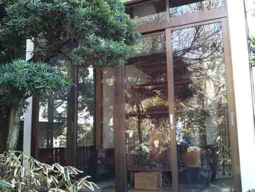the three-story pagoda in Tomeiji