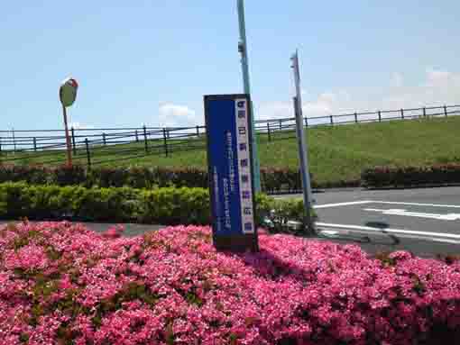 the signboard of Tatsumishinbashi Hiroba