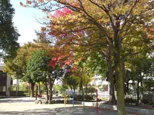 the autumn view in Daini Tsubaki Jido Yuen