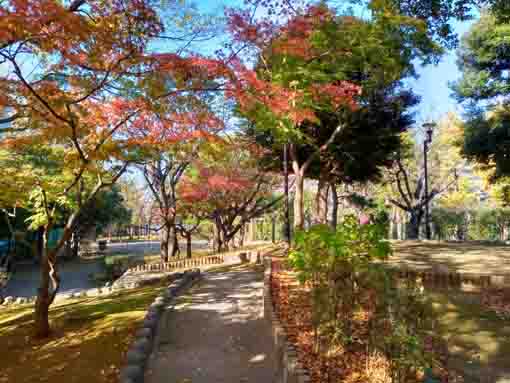 ふれあいの森宇喜田公園紅葉の覆う小径