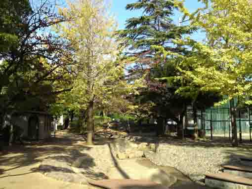 宇喜田中央公園の紅葉１