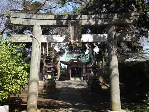 Wakamiya Hachimangu Shrine