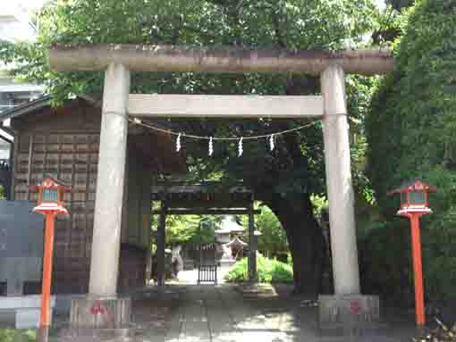 the torri gate of Yasaka Jinja in Innai