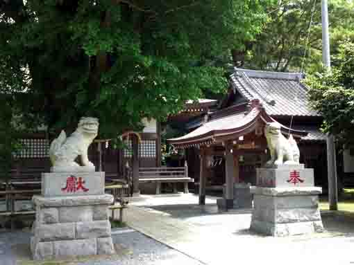 八坂神社（印内）の狛犬さん