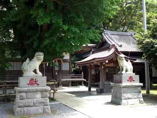 the gardian dogs in Yasaka Jinja in Innai