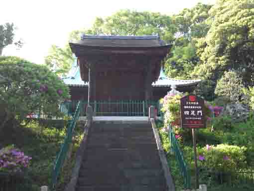 Yonsokumon Gate and azalea blossoms