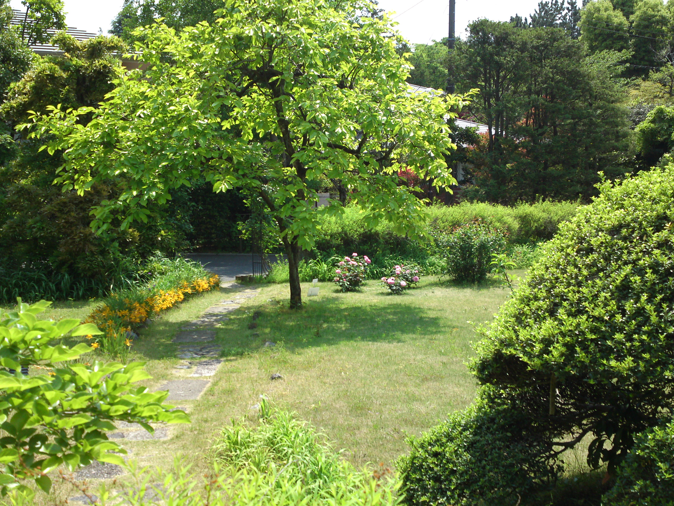 2015年芳澤ガーデンギャラリーの初夏の花々２