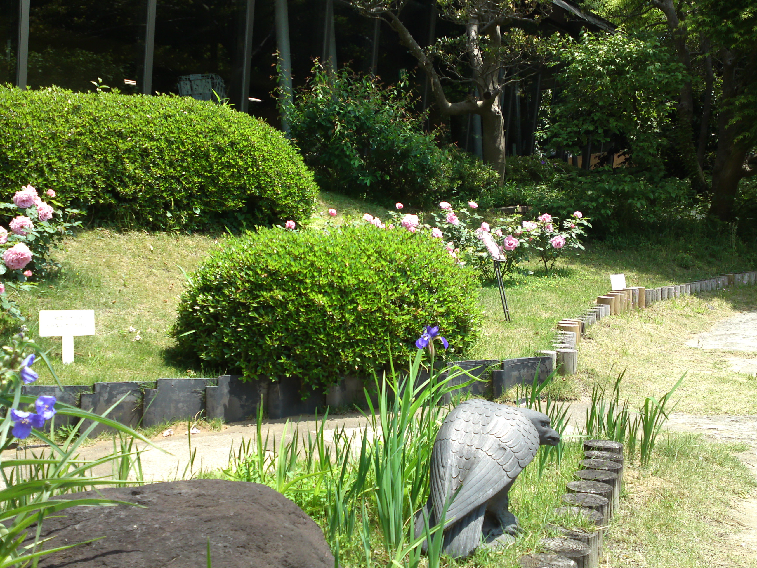 2015年芳澤ガーデンギャラリーの初夏の花々３
