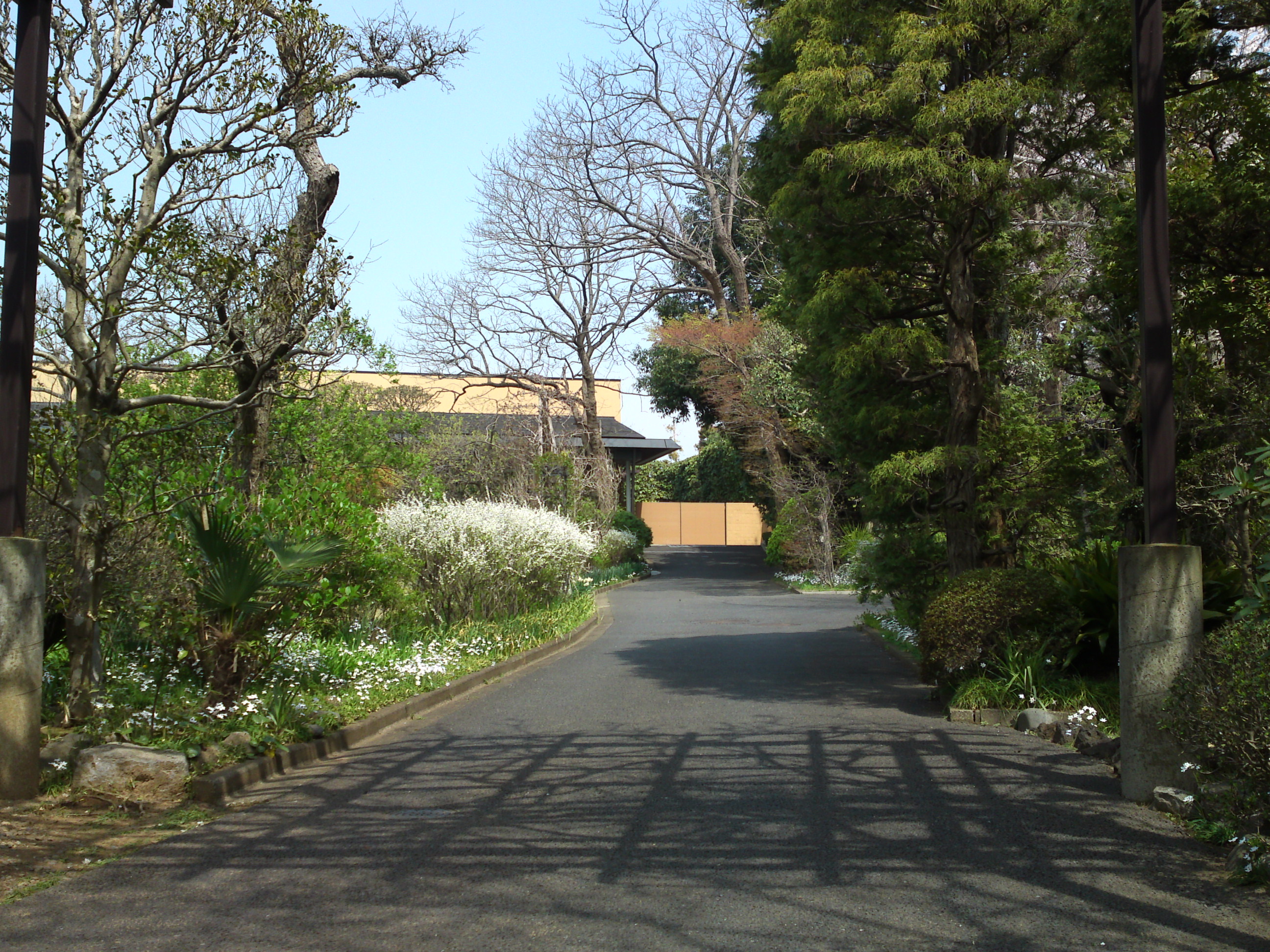 2016年芳澤ガーデンギャラリーの春の花々１