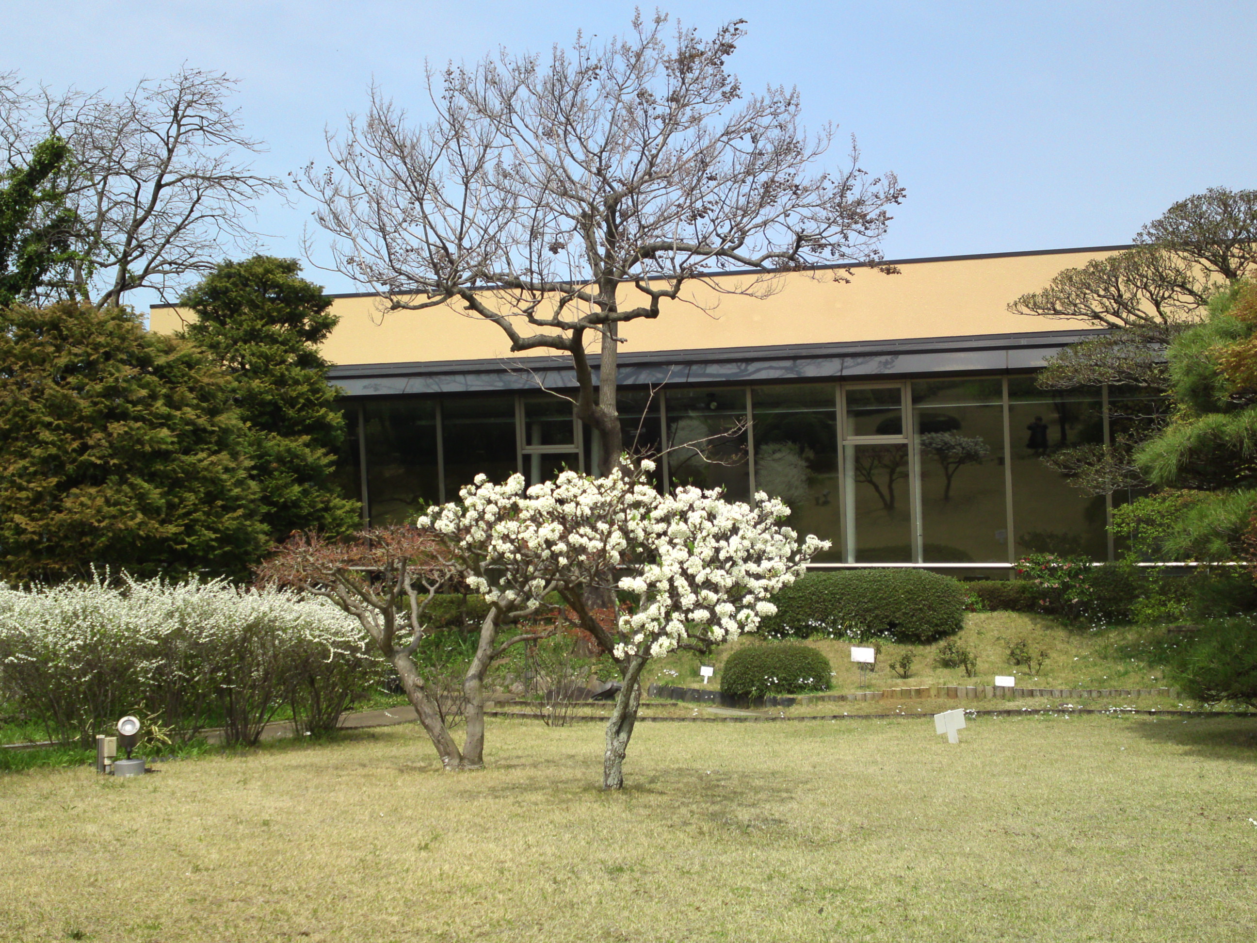 2016年芳澤ガーデンギャラリーの春の花々２