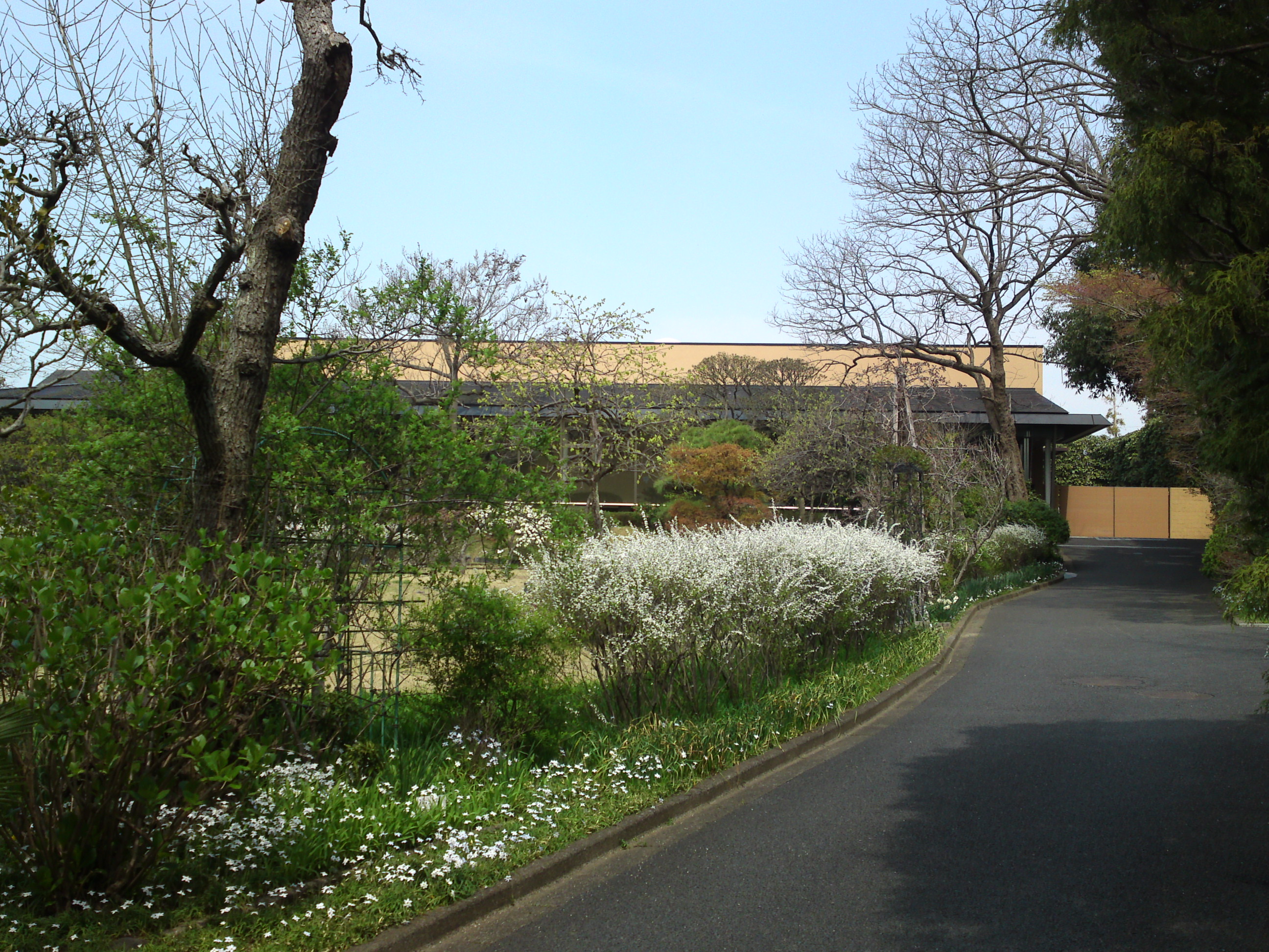 2016年芳澤ガーデンギャラリーの春の花々６