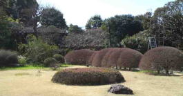 Yoshizawa Garden Gallery