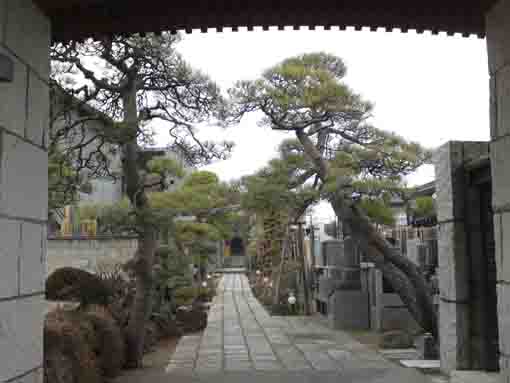 長慶山善慶寺の境内