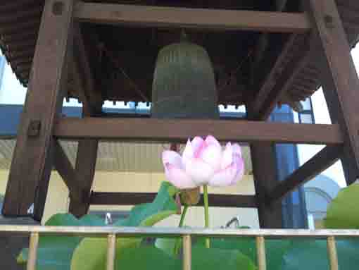 the bell tower in Seiyosan Zenshoji