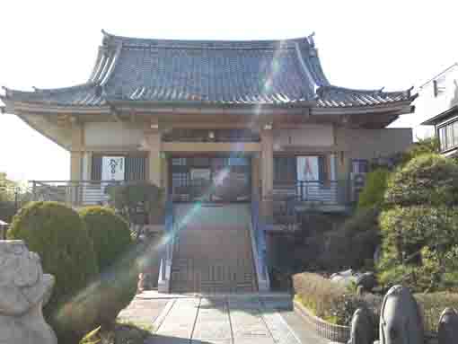 長島山善徳寺本堂