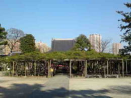 Yoko no Matsu and Fudodo Hall