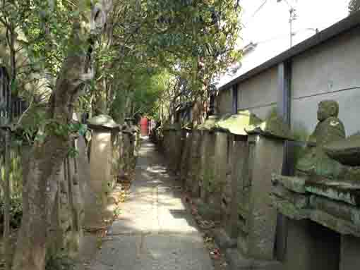 the stone statues of Buddha