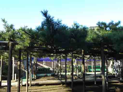 Seijusan Zenyoji Temple