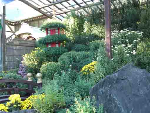 a small tower made of kiku flowers